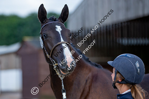 Baileys Horse Feeds Futurity Evaluations 2021