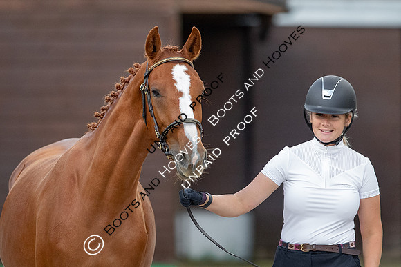 Baileys Horse Feeds Futurity Evaluations 2021