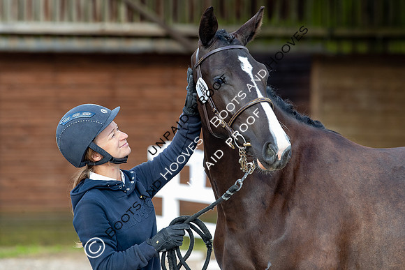 Baileys Horse Feeds Futurity Evaluations 2021