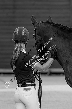 Baileys Horse Feeds Futurity Evaluations 2021