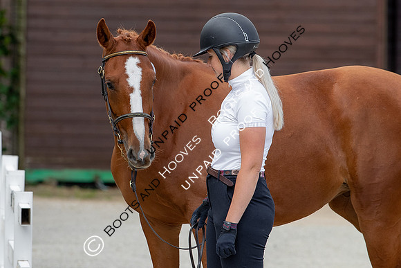 Baileys Horse Feeds Futurity Evaluations 2021