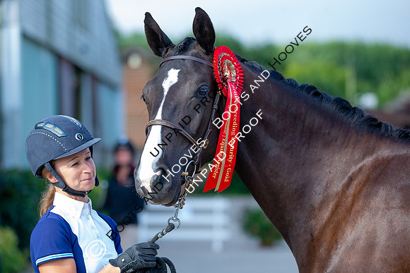 Baileys Horse Feeds Futurity Evaluations 2021