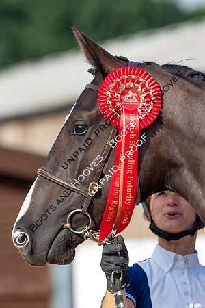 Baileys Horse Feeds Futurity Evaluations 2021