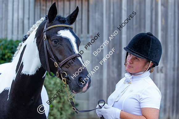 Baileys Horse Feeds Futurity Evaluations 2021