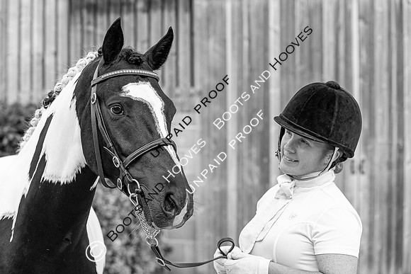 Baileys Horse Feeds Futurity Evaluations 2021