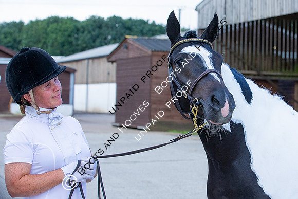 Baileys Horse Feeds Futurity Evaluations 2021