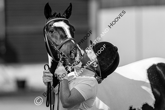 Baileys Horse Feeds Futurity Evaluations 2021