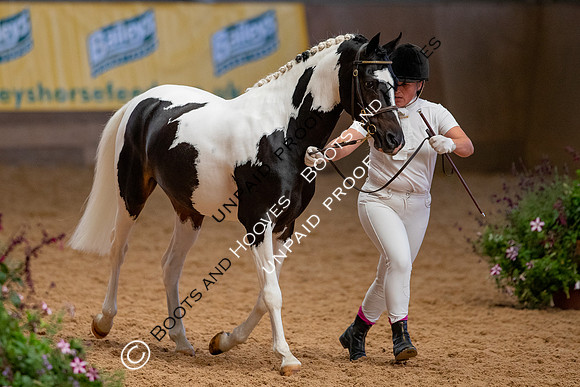 Baileys Horse Feeds Futurity Evaluations 2021