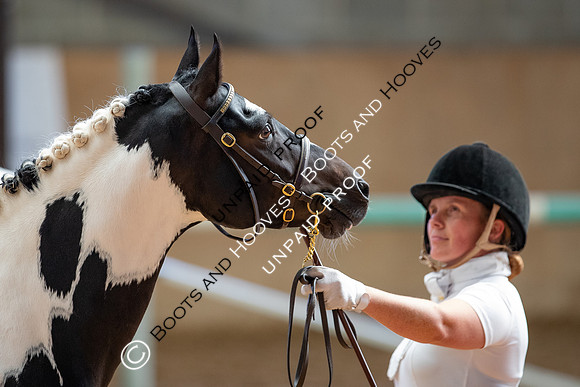 Baileys Horse Feeds Futurity Evaluations 2021