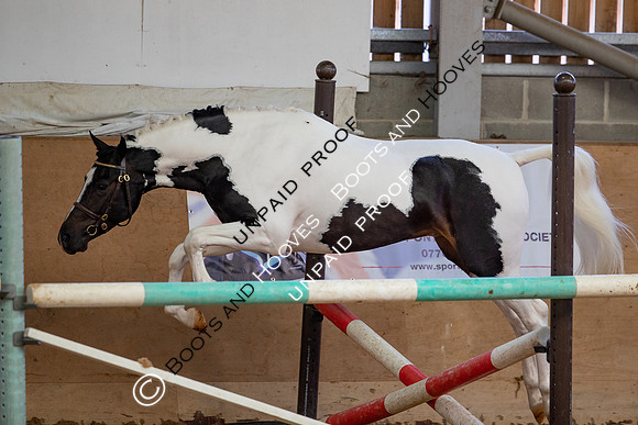 Baileys Horse Feeds Futurity Evaluations 2021