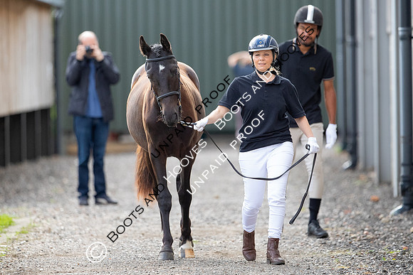 Baileys Horse Feeds Futurity Evaluations 2021