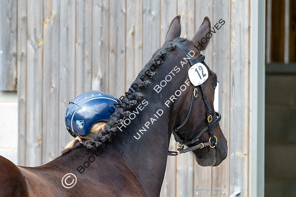 Baileys Horse Feeds Futurity Evaluations 2021