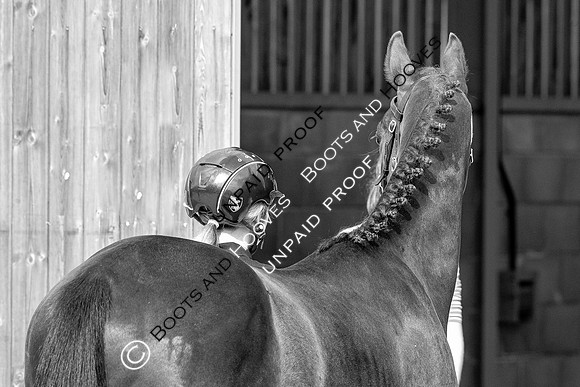 Baileys Horse Feeds Futurity Evaluations 2021