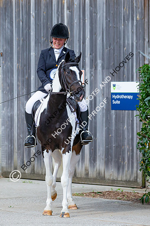Baileys Horse Feeds Futurity Evaluations 2021