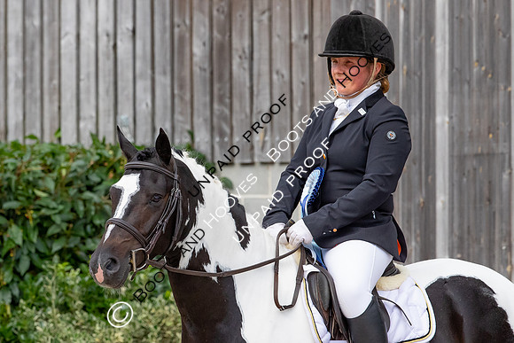 Baileys Horse Feeds Futurity Evaluations 2021