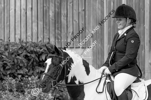 Baileys Horse Feeds Futurity Evaluations 2021