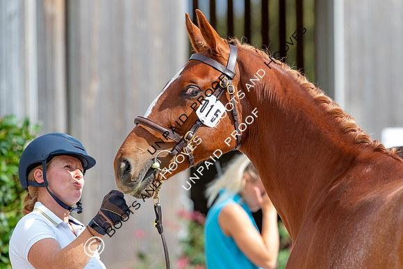 Baileys Horse Feeds Futurity Evaluations 2021