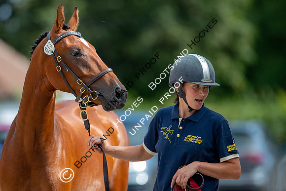 Baileys Horse Feeds Futurity Evaluations 2021