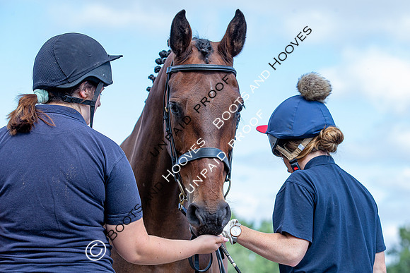 Baileys Horse Feeds Futurity Evaluations 2021