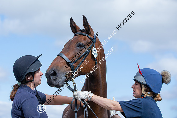 Baileys Horse Feeds Futurity Evaluations 2021