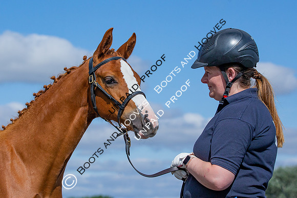 Baileys Horse Feeds Futurity Evaluations 2021