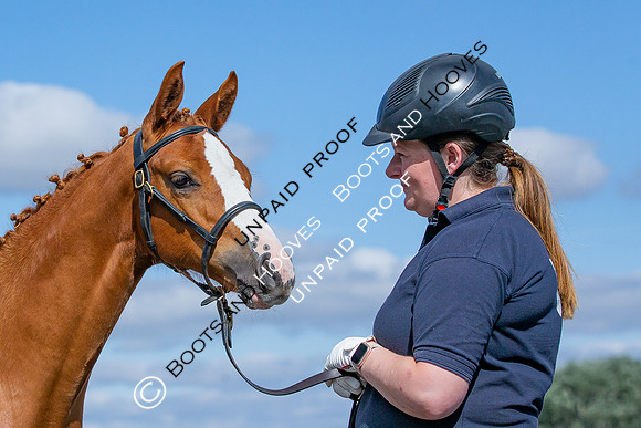 Baileys Horse Feeds Futurity Evaluations 2021