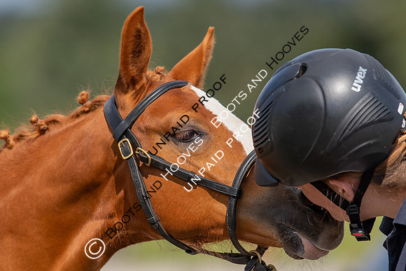 Baileys Horse Feeds Futurity Evaluations 2021