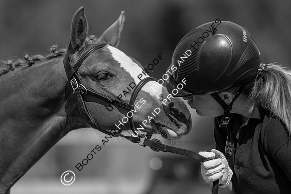 Baileys Horse Feeds Futurity Evaluations 2021
