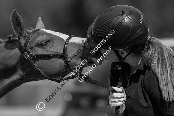 Baileys Horse Feeds Futurity Evaluations 2021