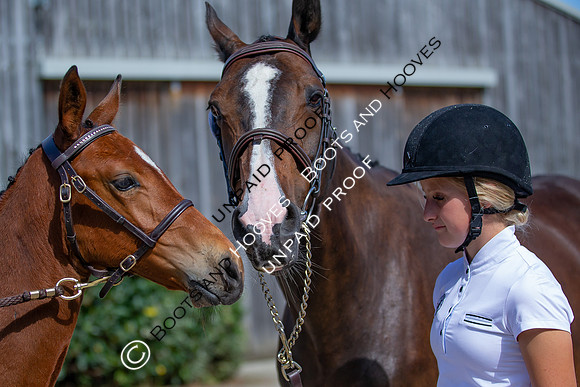 Baileys Horse Feeds Futurity Evaluations 2021