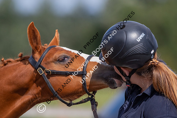 Baileys Horse Feeds Futurity Evaluations 2021