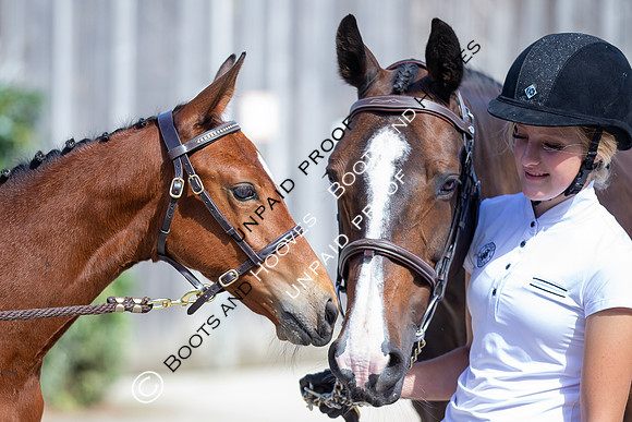 Baileys Horse Feeds Futurity Evaluations 2021