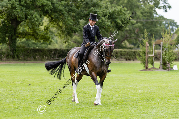 The Royal International Horse Show