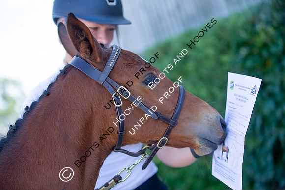 Baileys Horse Feeds Futurity Evaluations 2021