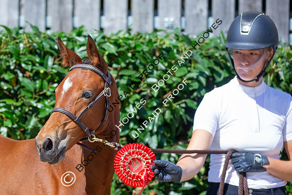 Baileys Horse Feeds Futurity Evaluations 2021