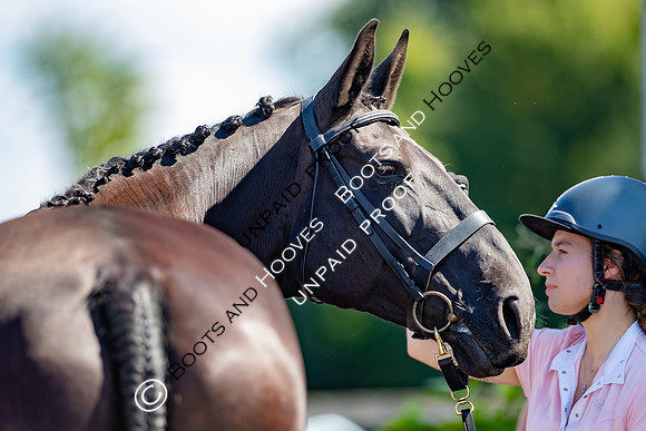 Baileys Horse Feeds Futurity Evaluations 2021