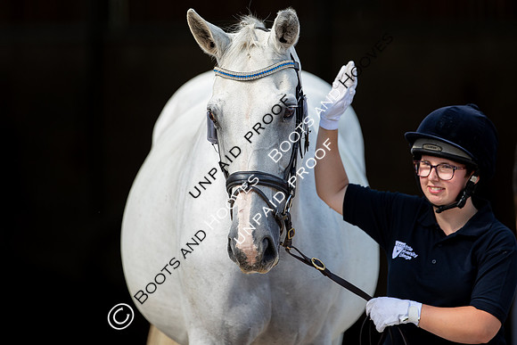 Baileys Horse Feeds Futurity Evaluations 2021