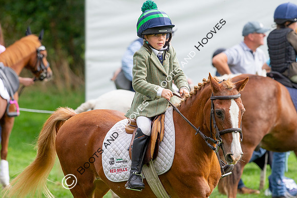 Science Supplements All England Jumping Championships