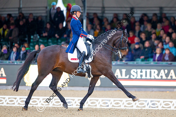 Royal Windsor Horse Show