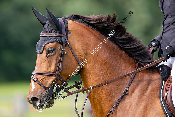 The Prenetics Royal International Horse Show