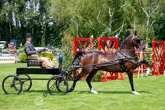 The Prenetics Royal International Horse Show