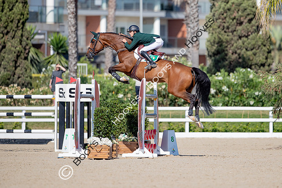 FEI Junior European Championship Young Riders, Juniors & Childre