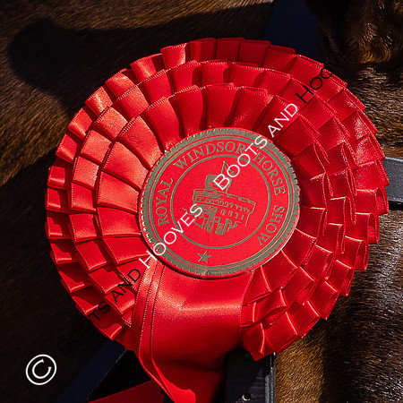 Royal Windsor Horse Show