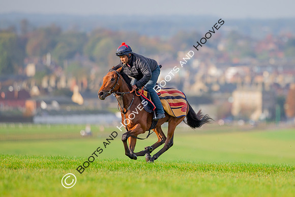 Newmarket
