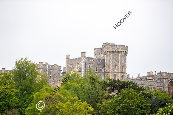 Royal Windsor Horse Show