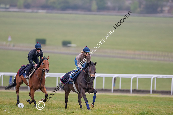 Newmarket Gallops