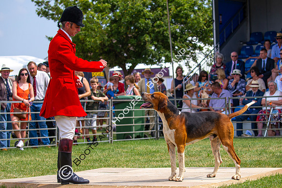 Festival of Hunting