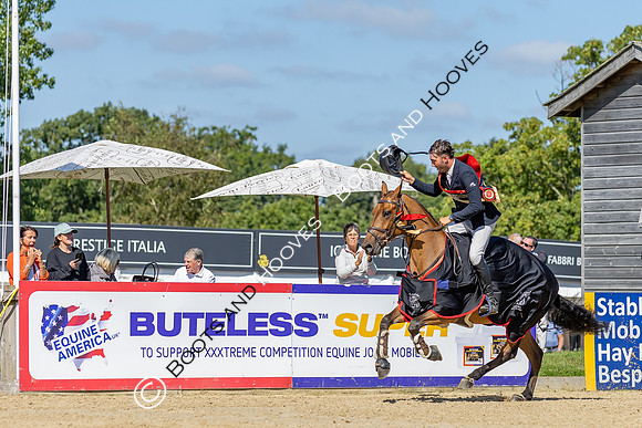 The Al Shira'aa British Young Horse Championships