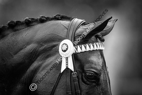 The Royal International Horse Show