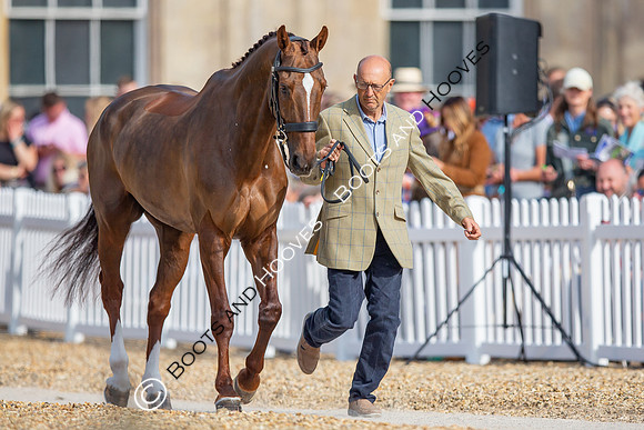 Badminton Horse Trials
